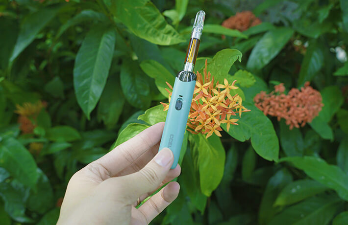 CCELL GO STICK (BATERIA PARA CARTUCHOS 510)