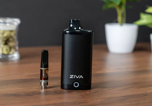 ZIVA PRO - YOCAN CARTUCHOS 510